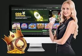 333bet
